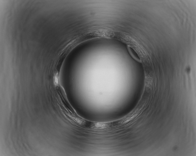 X0000097970095200803241245