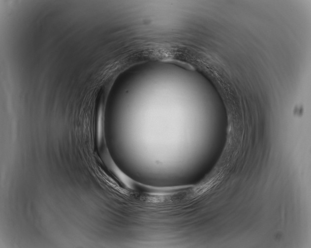 X0000097970096200803241245