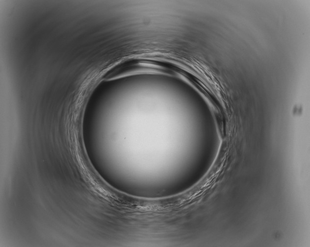 X0000097970097200803241245