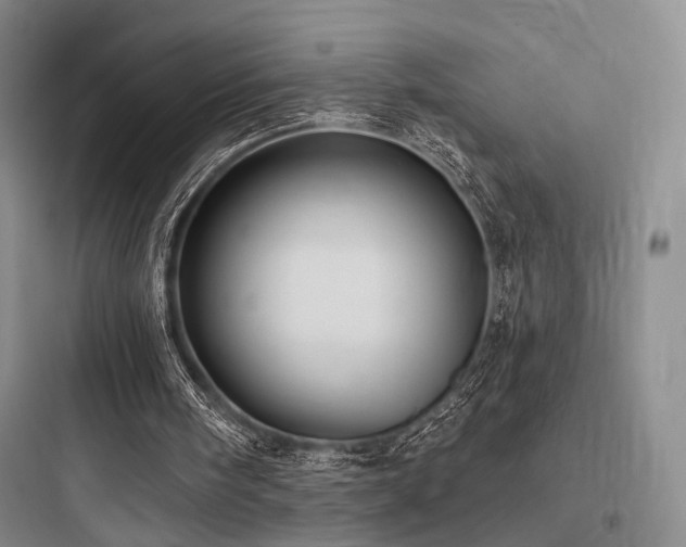 X0000097970098200803241245