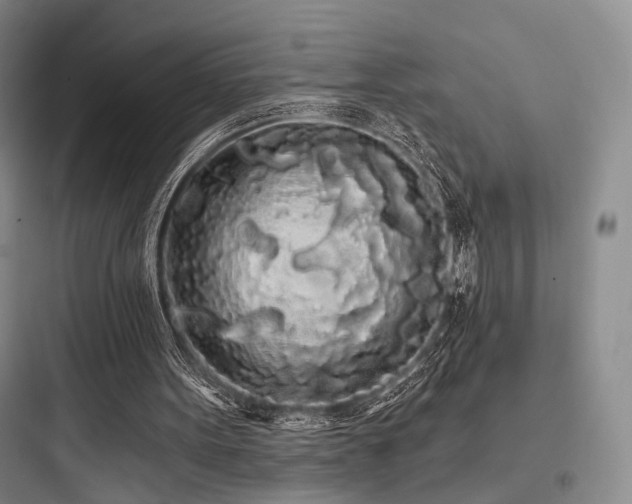 X0000097970099200803241245