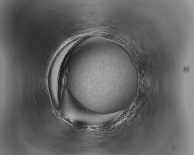 X0000097970100200803241245