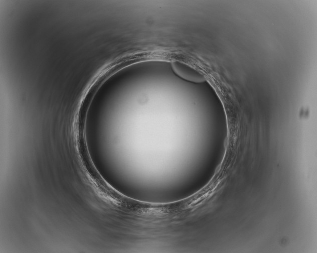 X0000097970102200803241245