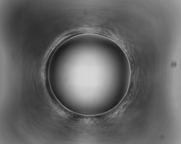 X0000097970103200803241245