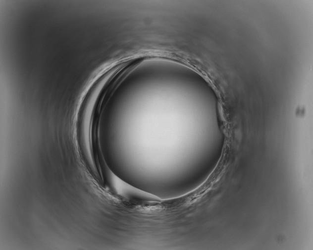 X0000097970104200803241245