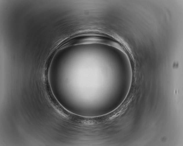 X0000097970105200803241245
