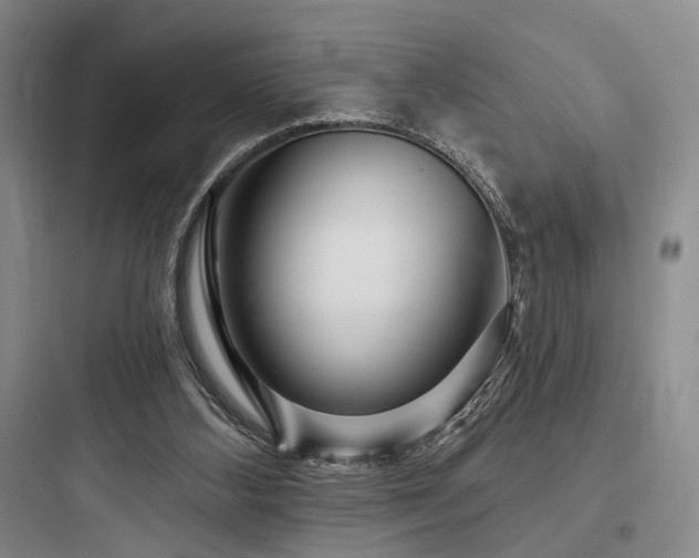 X0000097970108200803241244