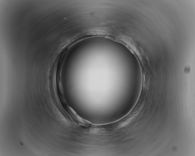 X0000097970109200803241244