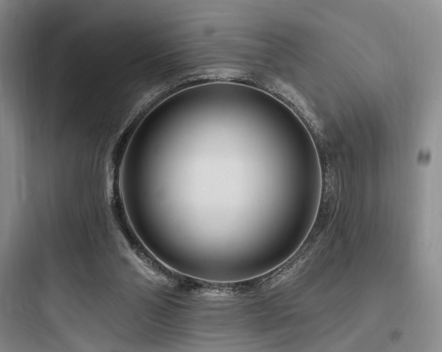 X0000097970110200803241244