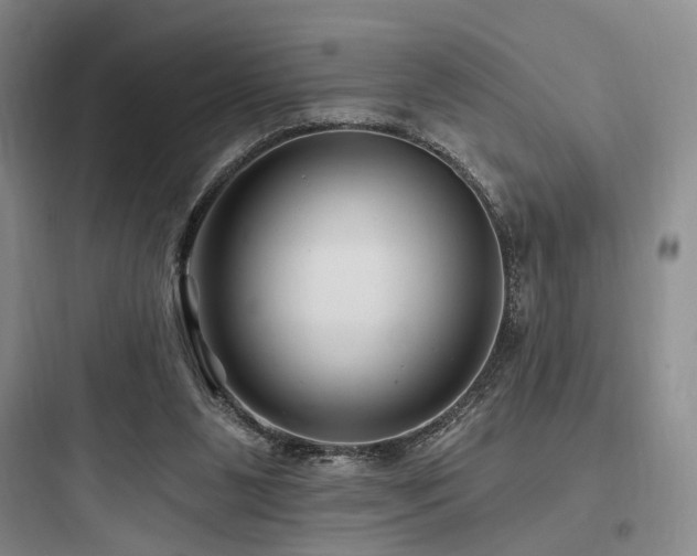 X0000097970111200803241244