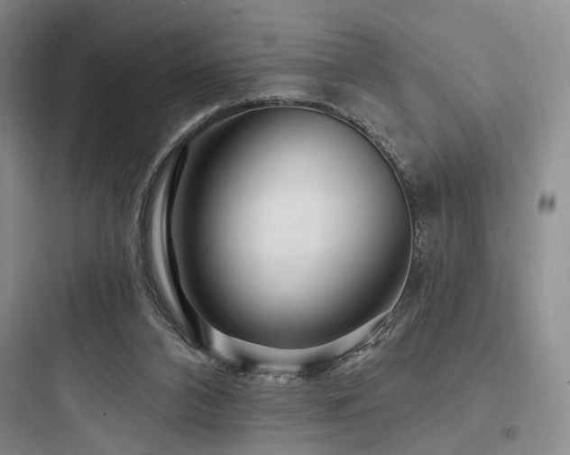X0000097970112200803241244