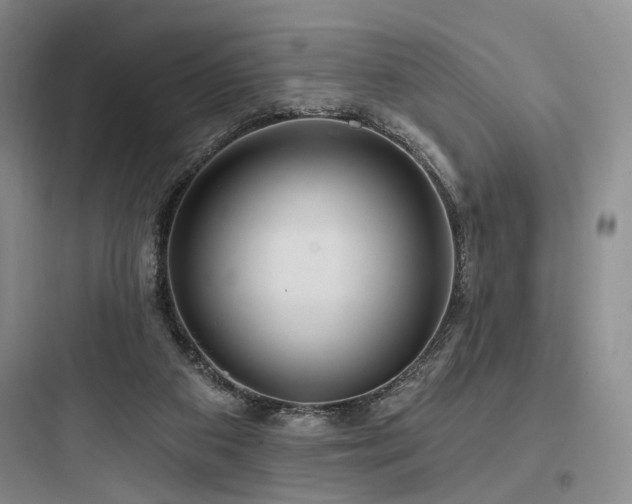 X0000097970113200803241244