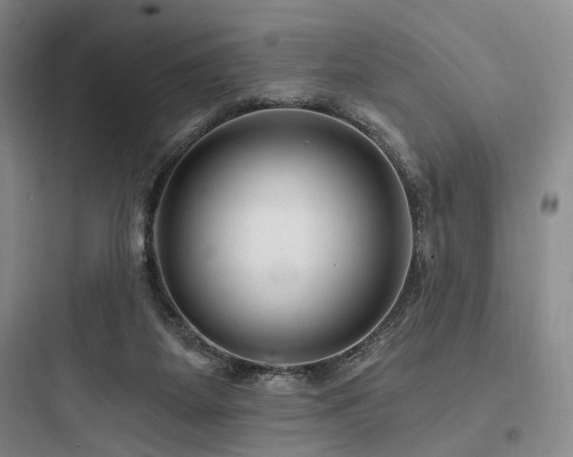 X0000097970115200803241244