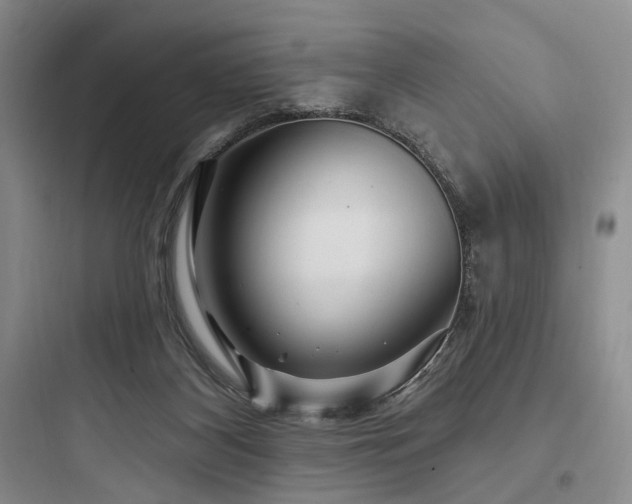 X0000097970116200803241244