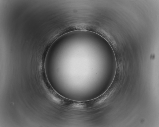 X0000097970117200803241244