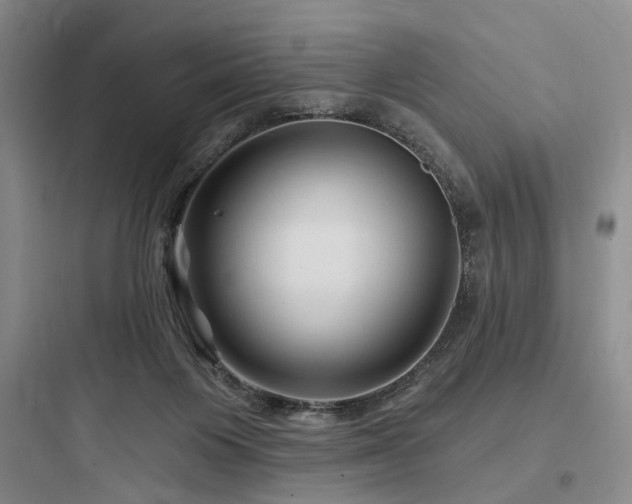 X0000097970119200803241244