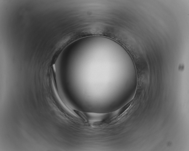 X0000097970120200803241244
