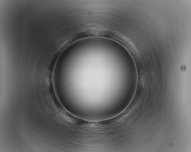 X0000097970121200803241244