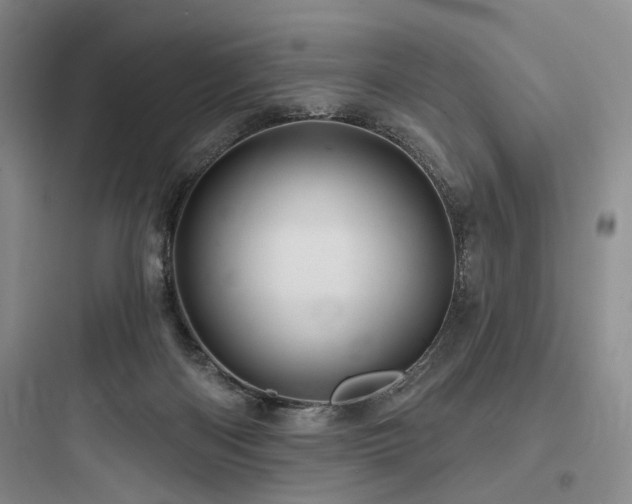 X0000097970122200803241244