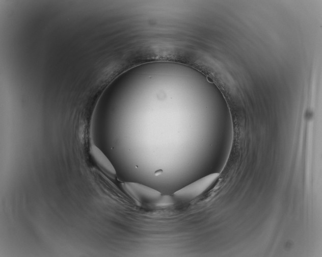X0000097970123200803241244