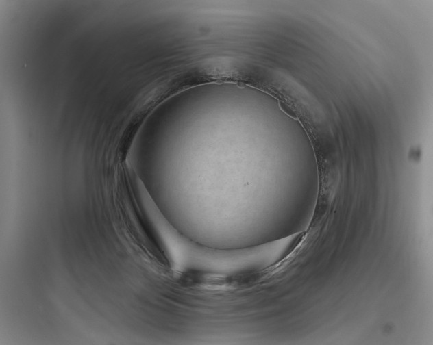 X0000097970124200803241244