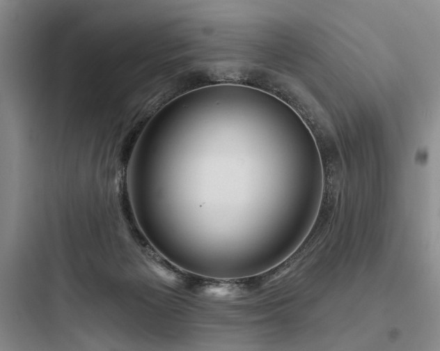 X0000097970125200803241244