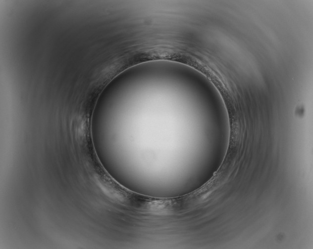 X0000097970126200803241244