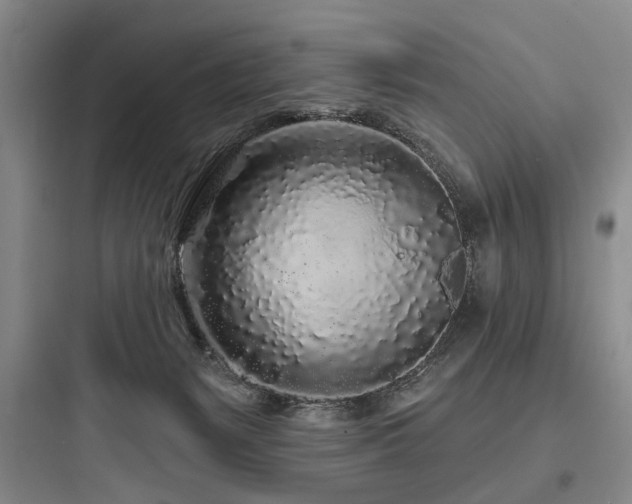 X0000097970127200803241244