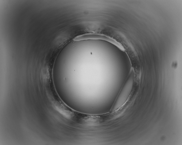 X0000097970128200803241244