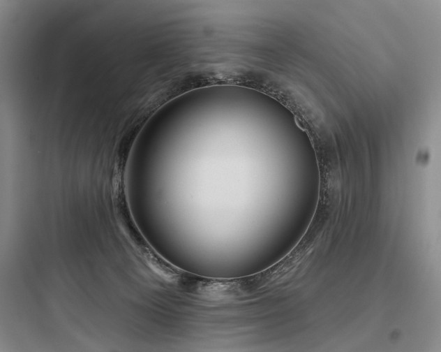 X0000097970129200803241244
