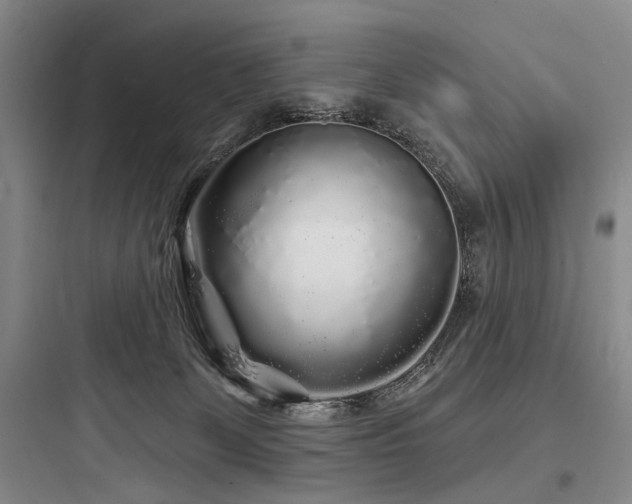 X0000097970131200803241244