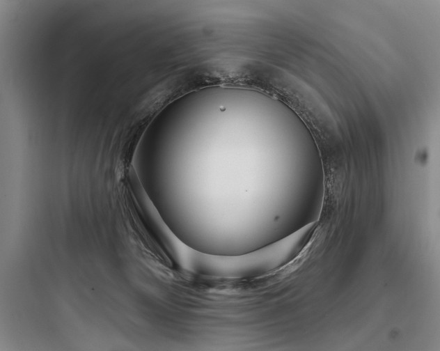 X0000097970132200803241244