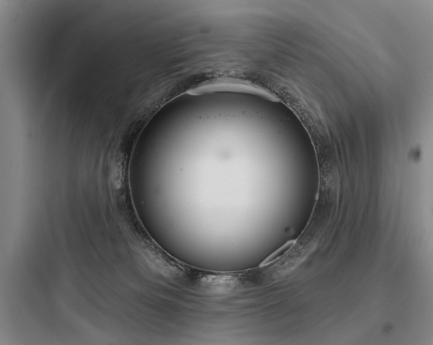 X0000097970133200803241244