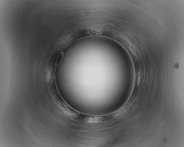 X0000097970134200803241244