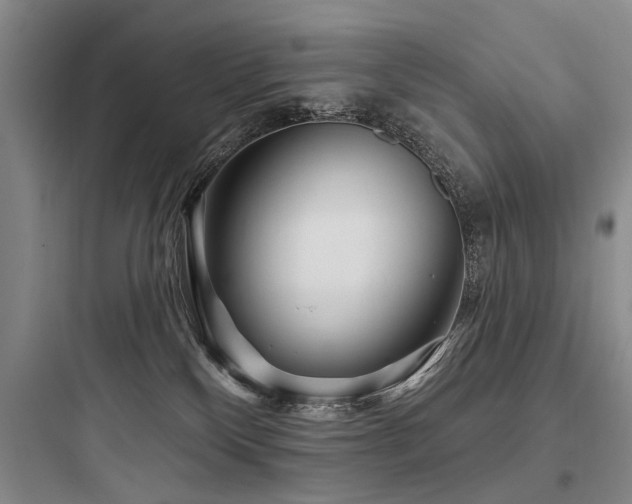 X0000097970136200803241244