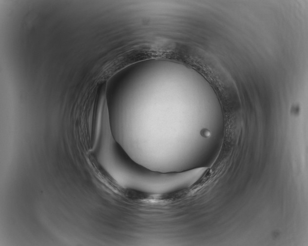 X0000097970137200803241244