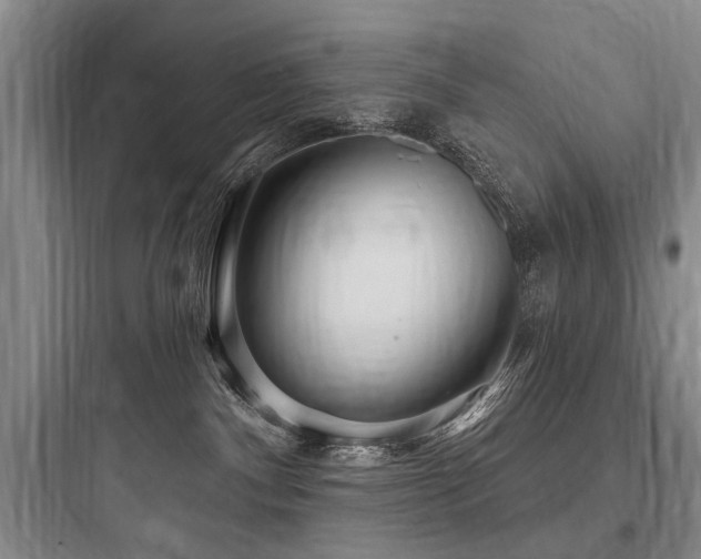 X0000097970140200803241244