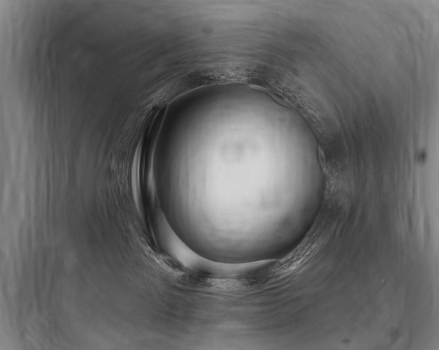 X0000097970141200803241244
