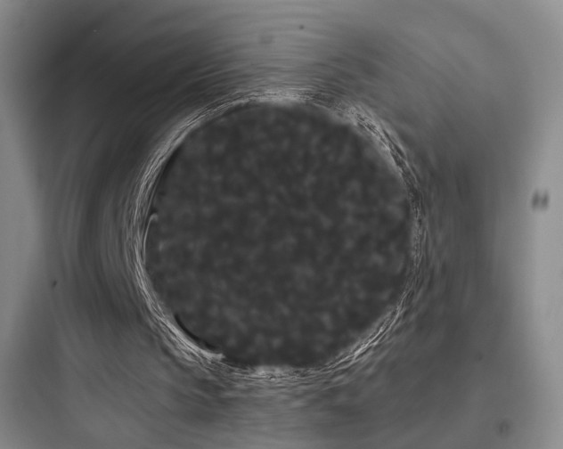 X0000097970145200803241243