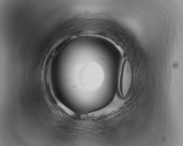 X0000097970146200803241243