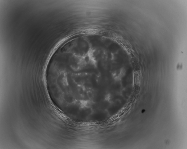 X0000097970147200803241243