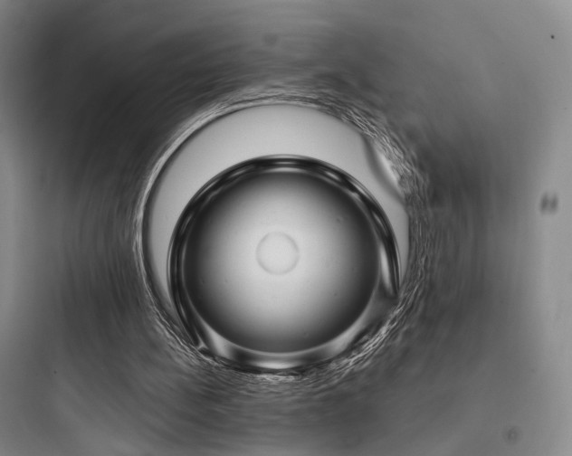 X0000097970148200803241243
