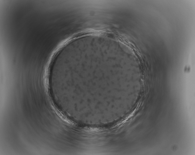 X0000097970149200803241243