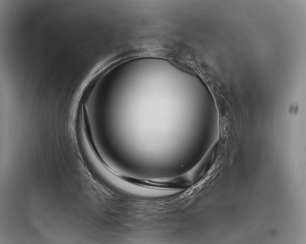 X0000097970150200803241243