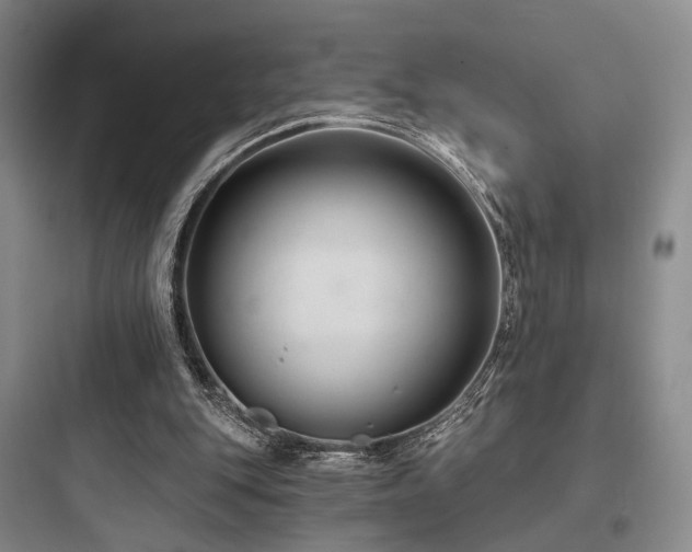 X0000097970151200803241243