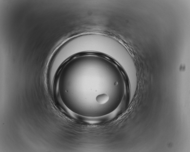 X0000097970152200803241243