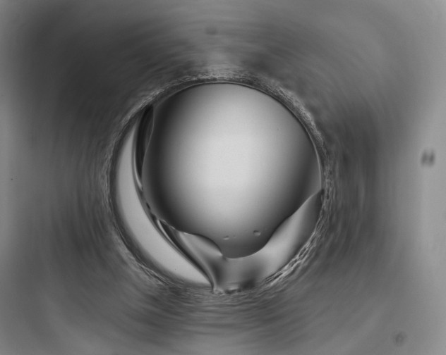 X0000097970154200803241243