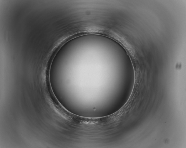 X0000097970155200803241243