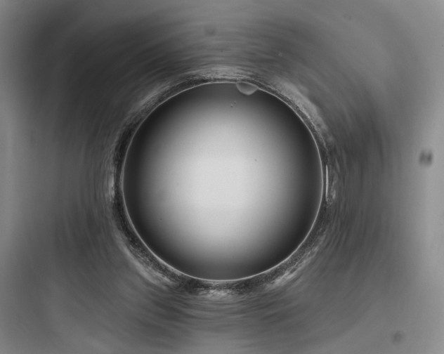 X0000097970157200803241243