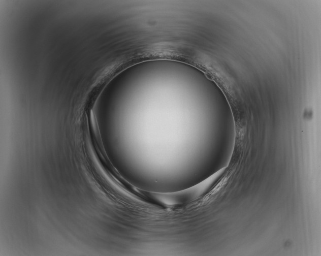 X0000097970158200803241243